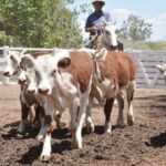 WhatsApp Image 2022-11-17 at 19.33.09