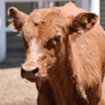 WhatsApp Image 2022-11-17 at 19.33.12 (1)