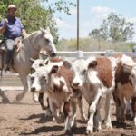 WhatsApp Image 2022-11-17 at 19.33.12