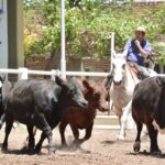 WhatsApp Image 2022-11-17 at 19.33.24