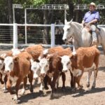 WhatsApp Image 2022-11-17 at 19.33.49