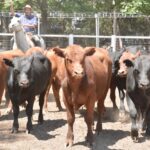 WhatsApp Image 2022-11-17 at 19.33.49 (2)