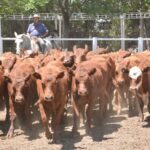 WhatsApp Image 2022-11-17 at 19.33.57 (3)