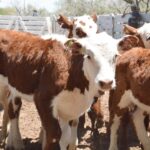 WhatsApp Image 2022-11-17 at 19.34.05 (1)