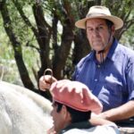 WhatsApp Image 2022-11-17 at 19.34.07 (3)