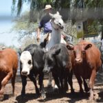 WhatsApp Image 2022-11-17 at 19.34.12 (1)