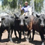 WhatsApp Image 2022-11-17 at 19.34.13