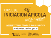 Realizarán un curso de iniciación apícola para mujeres de San Luis