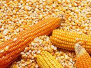 Crean el Programa de Compensación para Pequeños y Medianos Productores de Soja y Maíz