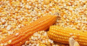 Crean el Programa de Compensación para Pequeños y Medianos Productores de Soja y Maíz