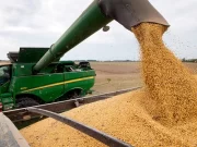 El Consejo Agroindustrial Argentino alerta sobre el letargo en el tratamiento del Proyecto de ley Agroindustrial