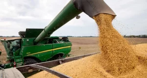 El Consejo Agroindustrial Argentino alerta sobre el letargo en el tratamiento del Proyecto de ley Agroindustrial