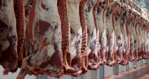 Carnes: Se esperan precios entre 30% y 40% inferiores para el 2023