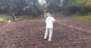 Agricultura familiar: estudian nuevas variedades productivas en San Luis
