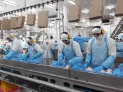 La avícola que concentra incubación, alimento y faena