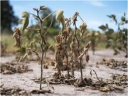 Termina el 2022 con la primavera más seca de los últimos 35 años