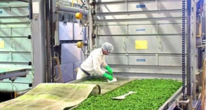 Unilever procesa en Mendoza 15.000 tn de vegetales por año