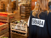 Pautas para la prevención de la salmonelosis y el cuidado de la salud de los consumidores