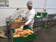 Agricultura habilita nuevas fechas de examen para tramitar el carnet de manipulador de alimentos