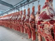 La Afip desarticuló maniobras de omisión de impuestos de exportadores de carne vacuna