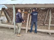 La Afip incautó 75 toneladas de ajo valuadas en $8 millones en Mendoza