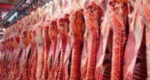 Carne vacuna: crecieron fuerte las exportaciones, pero caída de precios le pega al negocio