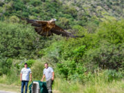 “Quebrada de las Higueritas” recibió con vuelo de libertad a las aves recuperadas