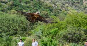 “Quebrada de las Higueritas” recibió con vuelo de libertad a las aves recuperadas
