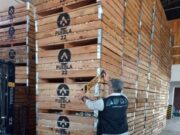 La Afip incautó ajo por $9 millones y detectó empleo no registrado en Mendoza