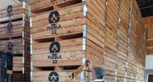 La Afip incautó ajo por $9 millones y detectó empleo no registrado en Mendoza