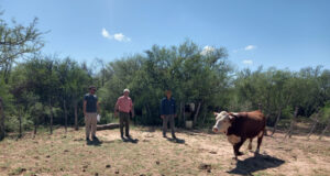 Plan Toros: entregaron nuevos reproductores en Quines y San Jerónimo