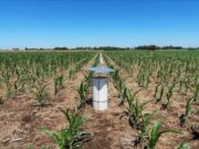 Producir con beneficios para los agroecosistemas y el planeta, al alcance de la mano