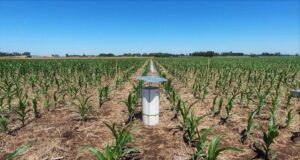 Producir con beneficios para los agroecosistemas y el planeta, al alcance de la mano