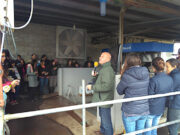 Vacas ordeñadas por robots: El futuro ya llegó