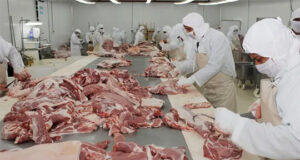 El país del absurdo: nuevo récord de exportaciones de carnes en 12 meses
