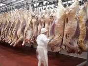 Las exportaciones de carne crecieron 13,2% interanual en el primer cuatrimestre, pero cayeron un 17,2% en valor