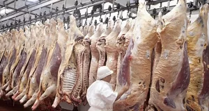 Las exportaciones de carne crecieron 13,2% interanual en el primer cuatrimestre, pero cayeron un 17,2% en valor