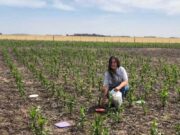 Agroquímicos: ¿Cómo fue el proceso que terminó con lo que para unos es censura en el INTA y para otros simplemente moderación institucional?