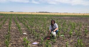Agroquímicos: ¿Cómo fue el proceso que terminó con lo que para unos es censura en el INTA y para otros simplemente moderación institucional?