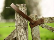 Cuánto vale la tierra en San Luis