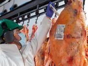 Ganaderos patagónicos en alerta porque temen una decisión “temeraria” del Senasa sobre la barrera sanitaria