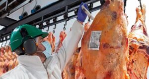 Ganaderos patagónicos en alerta porque temen una decisión “temeraria” del Senasa sobre la barrera sanitaria