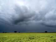 Los efectos de “El Niño” podrían adelantarse