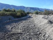 San Luis Agua trabaja en arroyos de la costa de las Sierras de los Comechingones