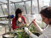 Estudio aporta claves para mejorar la salud y productividad de los suelos