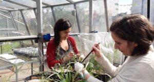 Estudio aporta claves para mejorar la salud y productividad de los suelos