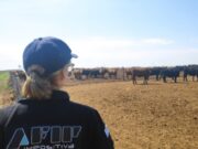 La AFIP detectó un faltante de granos por $14 millones en un feedlot de San Luis