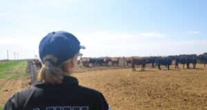La AFIP detectó un faltante de granos por $14 millones en un feedlot de San Luis