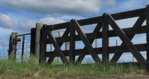 El sector inmobiliario rural tendrá su jornada regional en San Luis