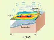 Comienza la siembra de cultivos de verano en presencia de El Niño